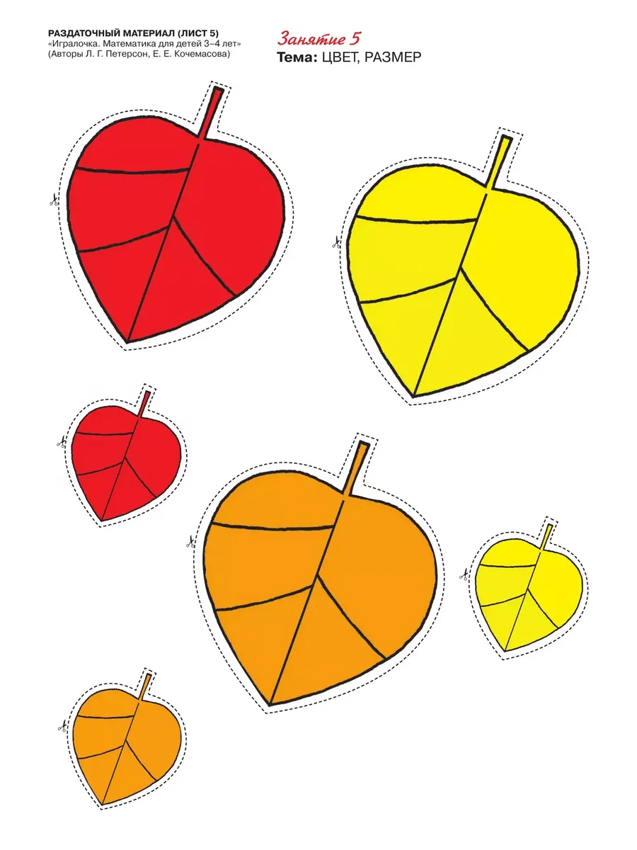 Фото 6