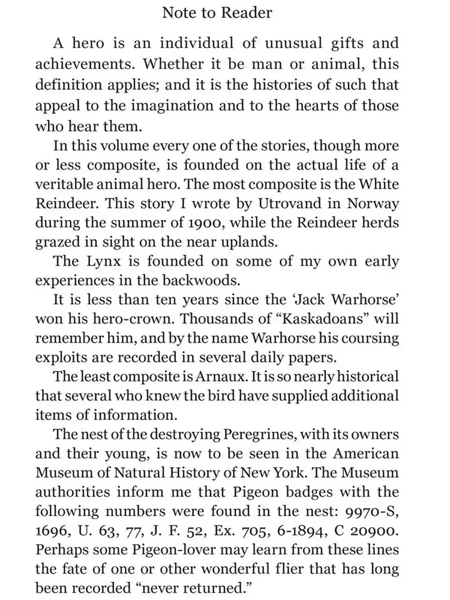 Фото 4