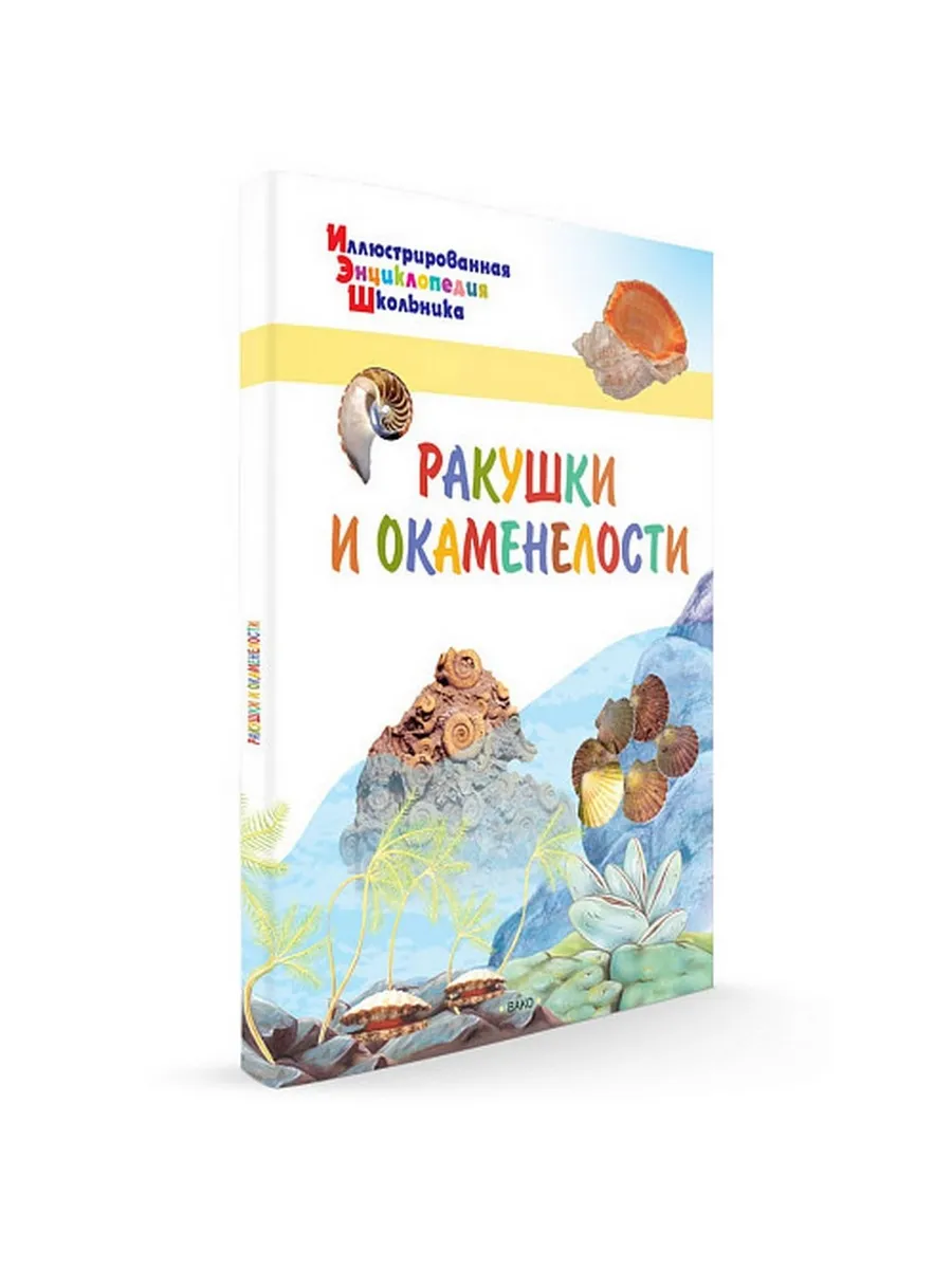 ИЭШ Ракушки и окаменелости