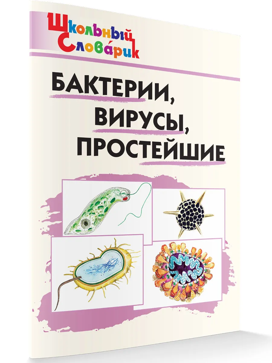 ШС Бактерии, вирусы, простейшие