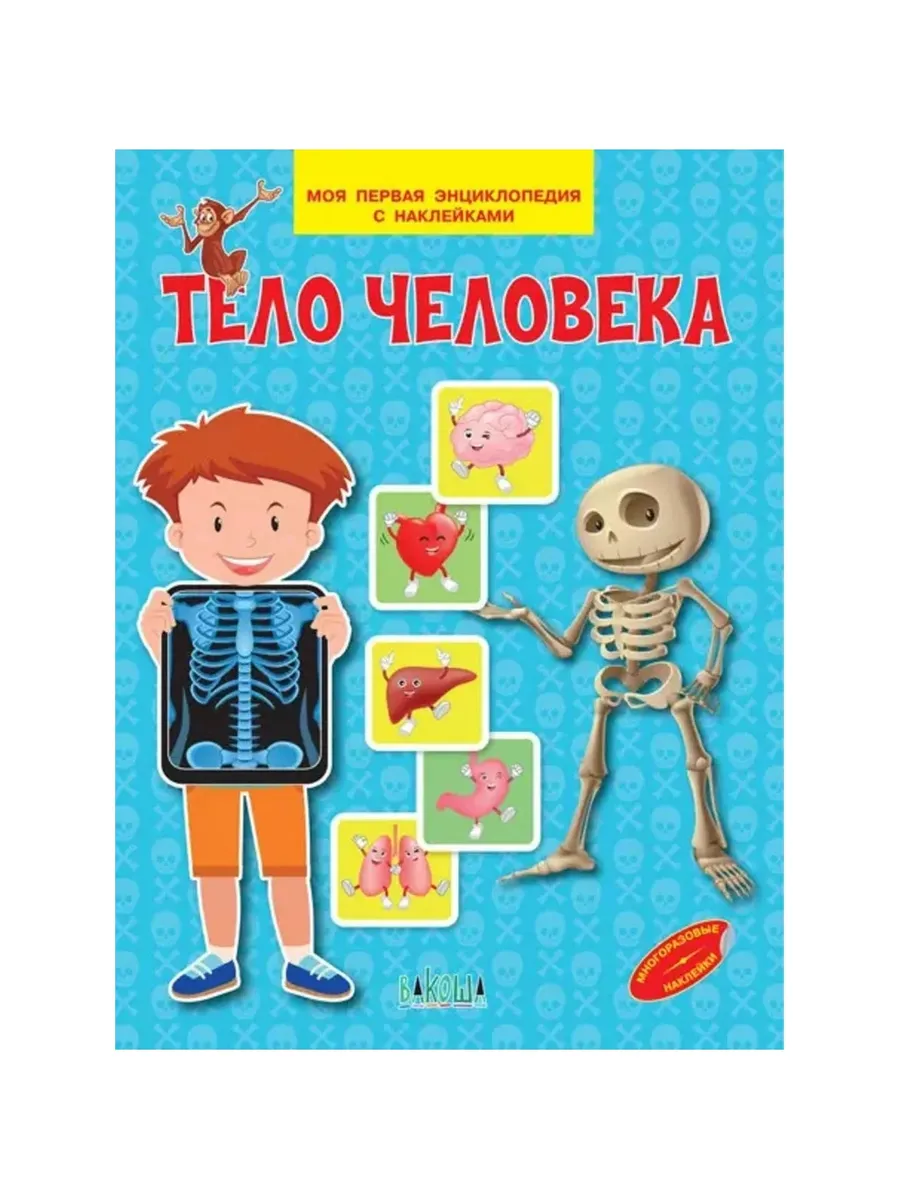 МПЭН Тело человека. Моя первая энциклопедия с наклейками, 978-5-00132-350-1/2022