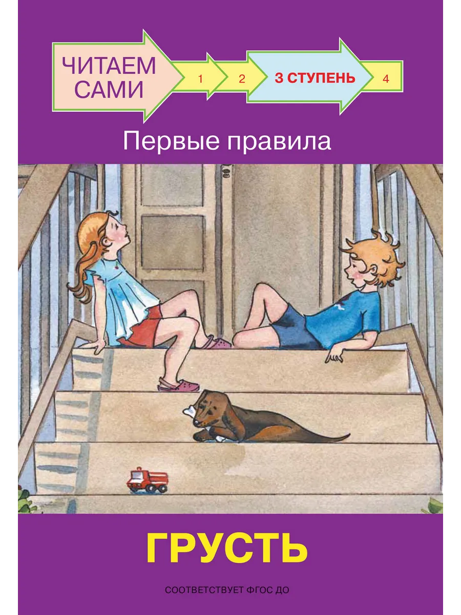 ЧС  Ступень 3 Первые правила. Грусть, 978-5-00132-293-1/2022