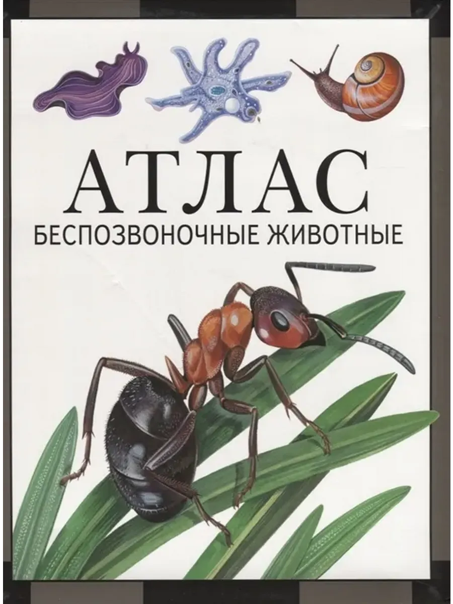 Беспозвоночные животные: атлас (2-е, стереотипное)