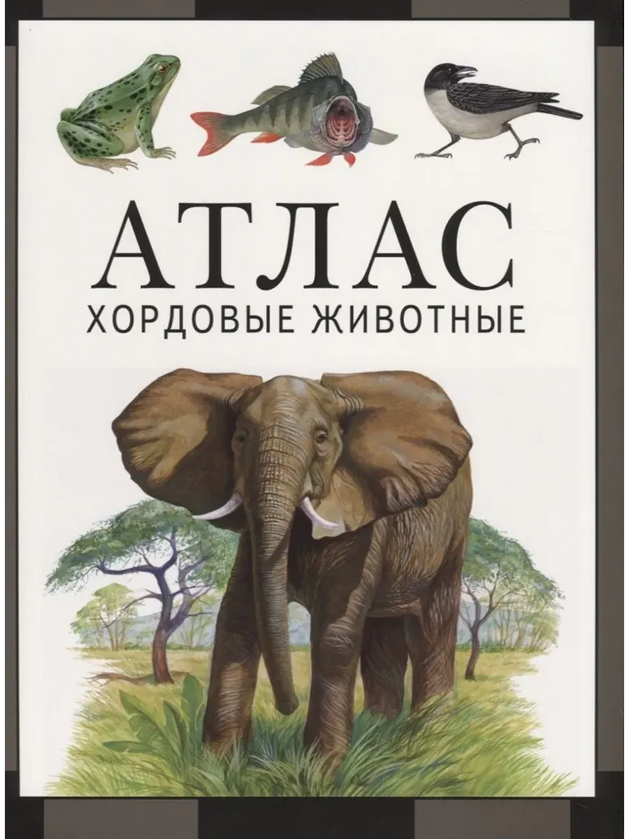 Хордовые животные: атлас (2-е, стереотипное)