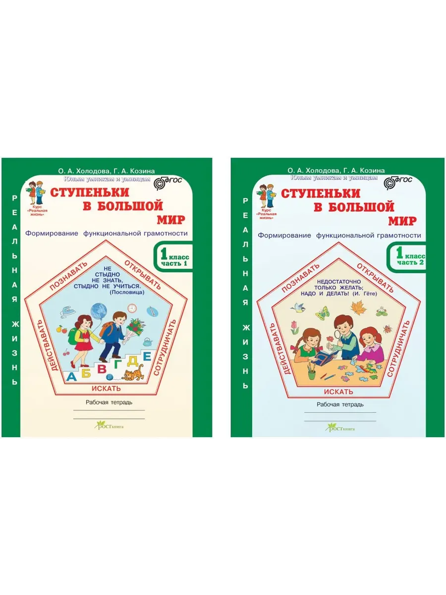 Ступеньки в большой мир. 1 кл. Р/Т в 2-х ч. Формирование функциональной грамотн.