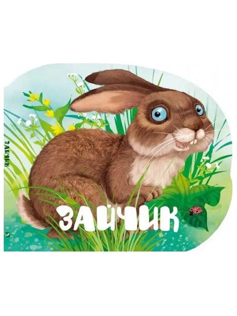 Зайчик М.Жученко