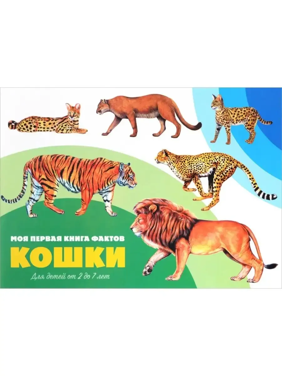 Моя первая книга фактов. Кошки