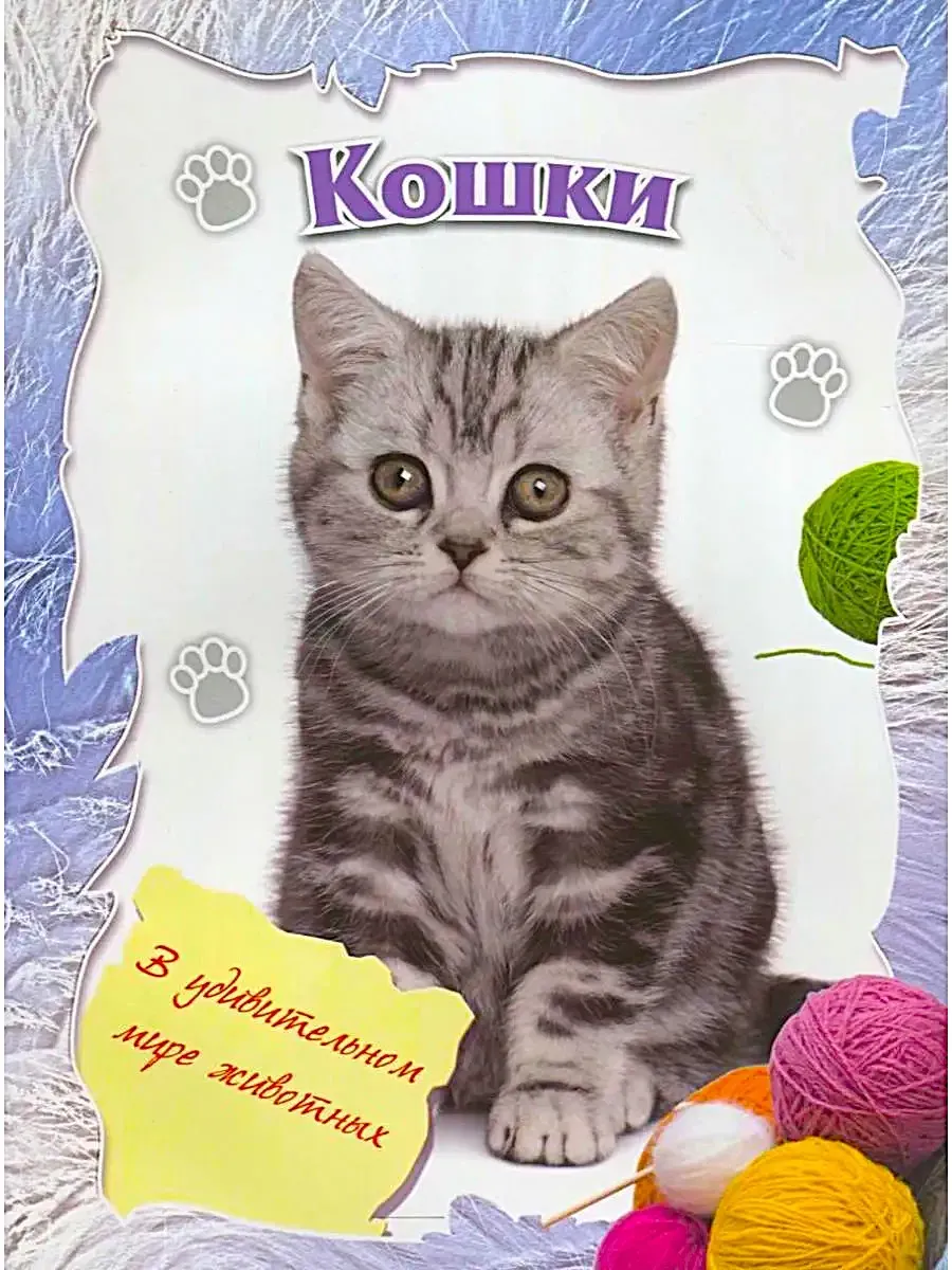 Кошки (в удивительном мире)