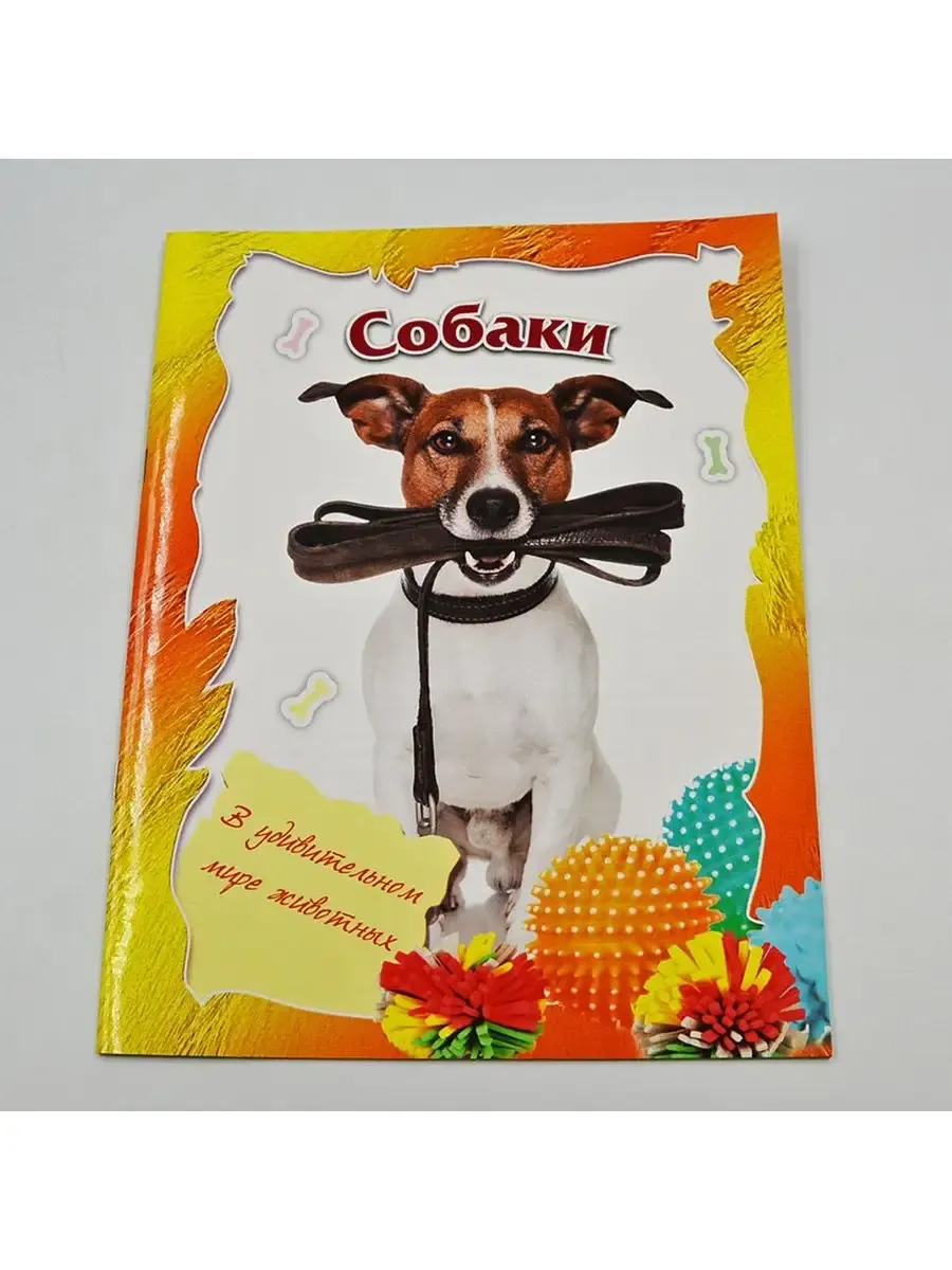 Собаки (в удивительном мире)