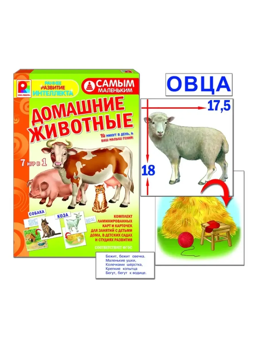 Самым маленьким"Домашние животные"
