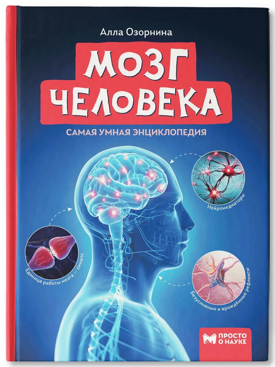 Мозг человека: самая умная энциклопедия дп
