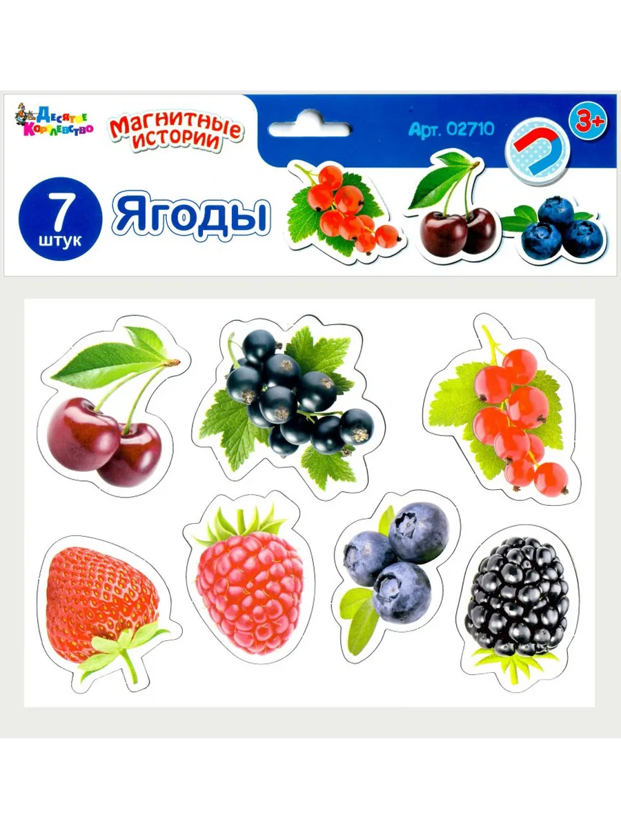 Магниты "Ягоды" Магнитные истории (европодвес)