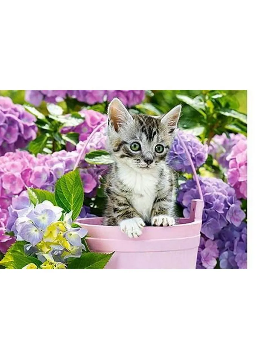 Пазл CastorLand Premium 200 деталей Котенок в корзине